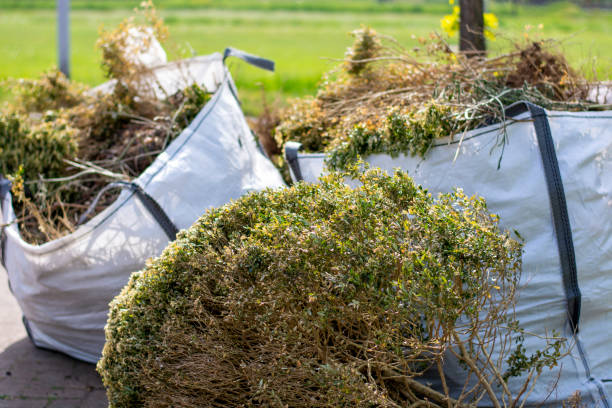 Best Same-Day Junk Removal  in Ladera Ranch, CA